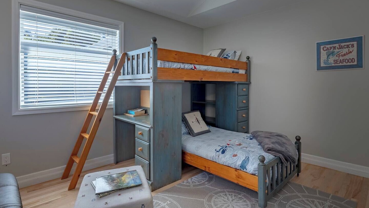 Photo of Others in Seal Rock