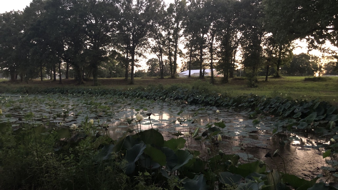 Photo of Outdoor in Alba