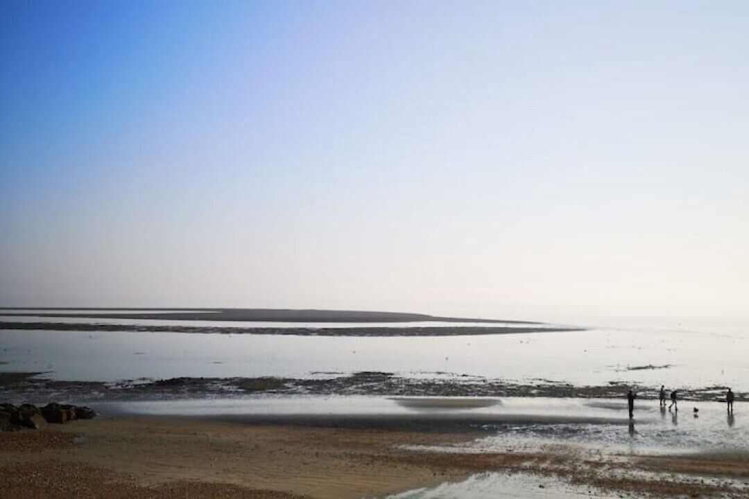 Photo of Others in Selsey