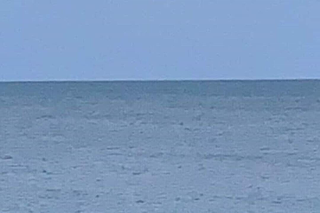 Photo of Others in Selsey