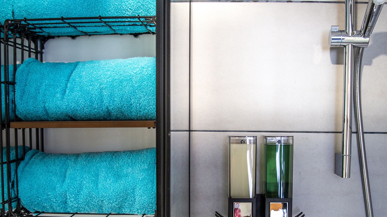 Photo of Bathroom in Laffrey