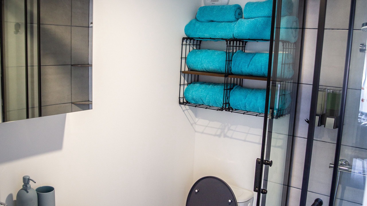 Photo of Bathroom in Laffrey