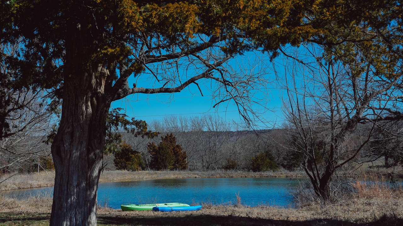 Photo of Outdoor in Daisy