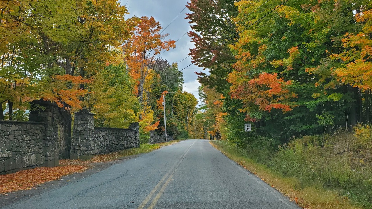 Photo of Others in Tannersville