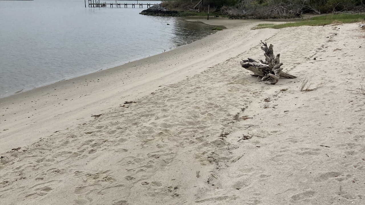 Photo of Others in Gloucester Point