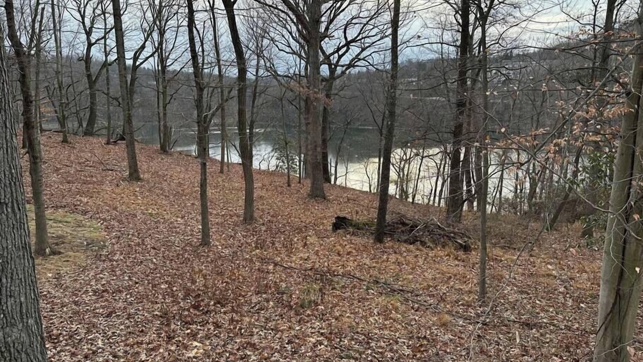 Photo of Others in Cheat Lake