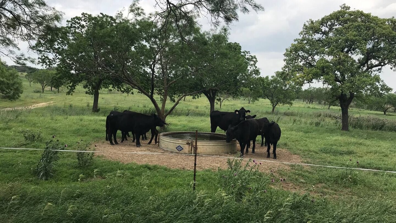 Photo of Outdoor in Fredericksburg
