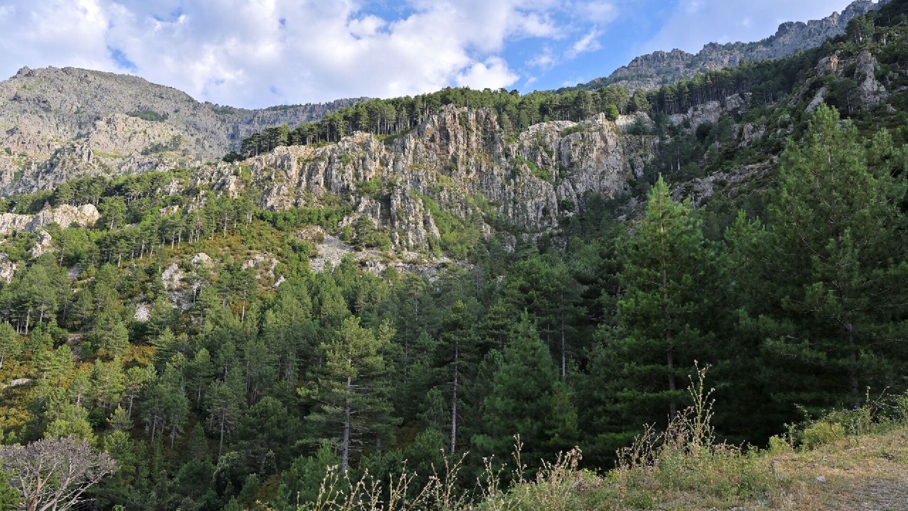 Photo of Others in Calenzana