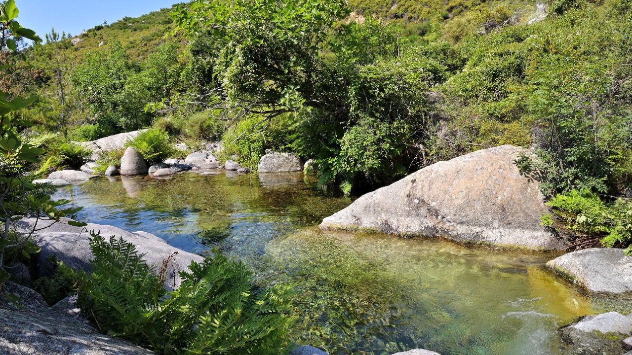 Photo of Others in Calenzana