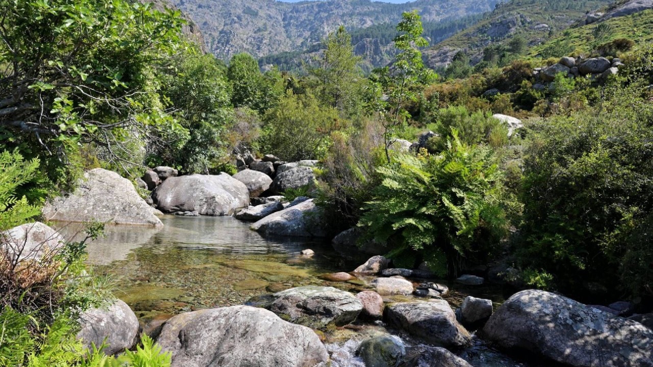 Photo of Outdoor in Calenzana