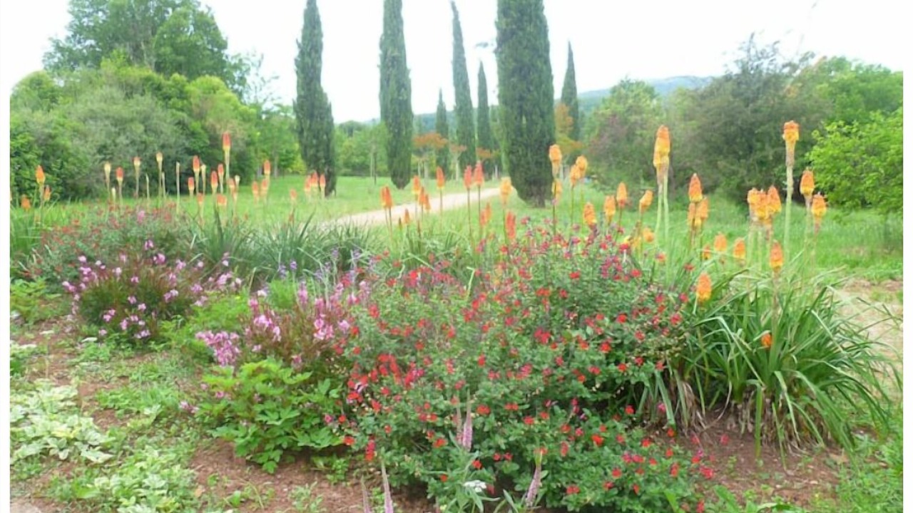 Photo of Outdoor in Le Puech