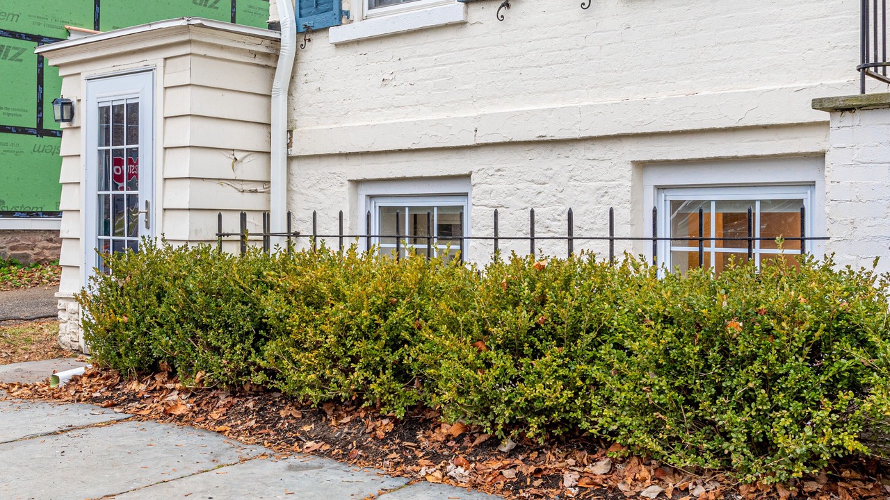 Photo of Outdoor in Kingston