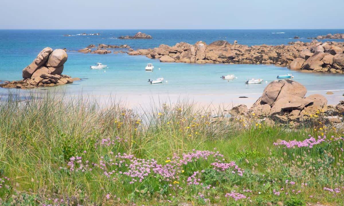 Photo of Others in Breles