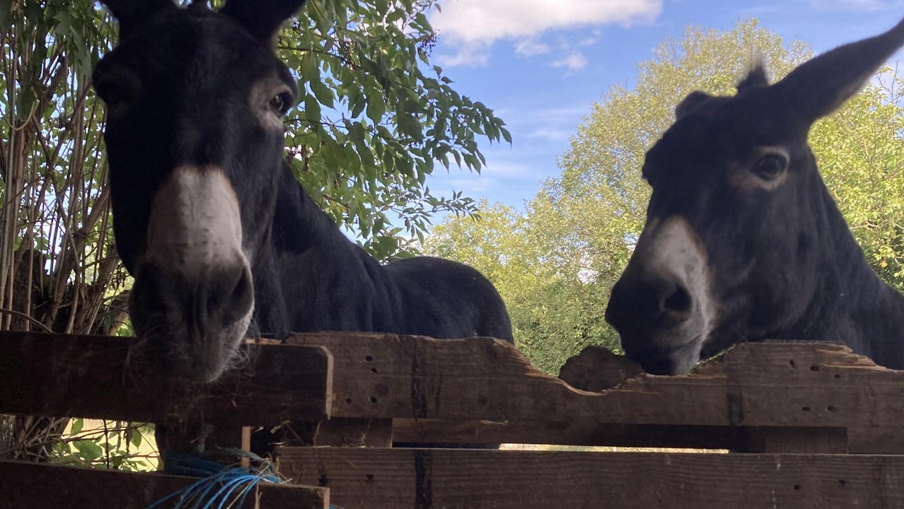 Photo of Others in Pouille