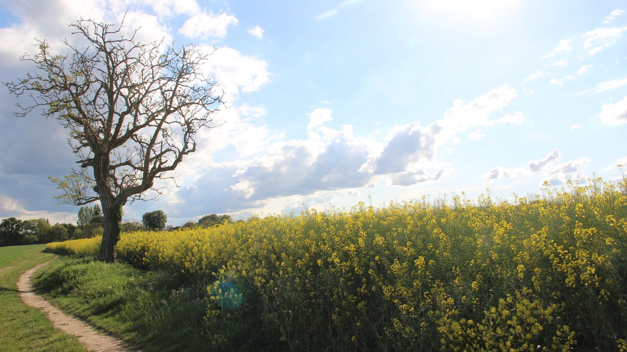 Photo of Others in Pouille