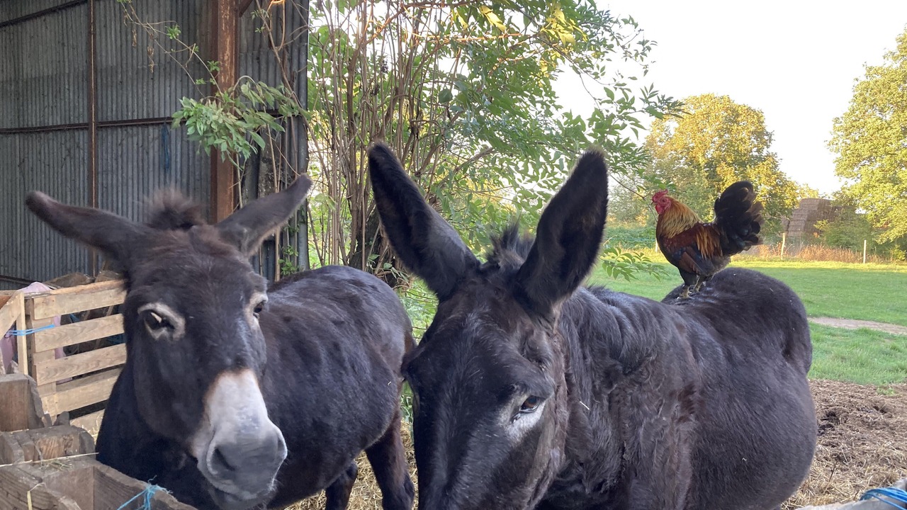 Photo of Others in Pouille