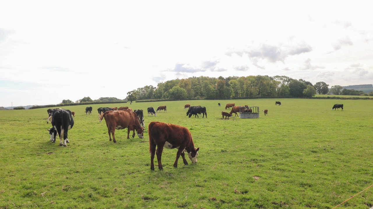 Photo of Others in Little Haywood