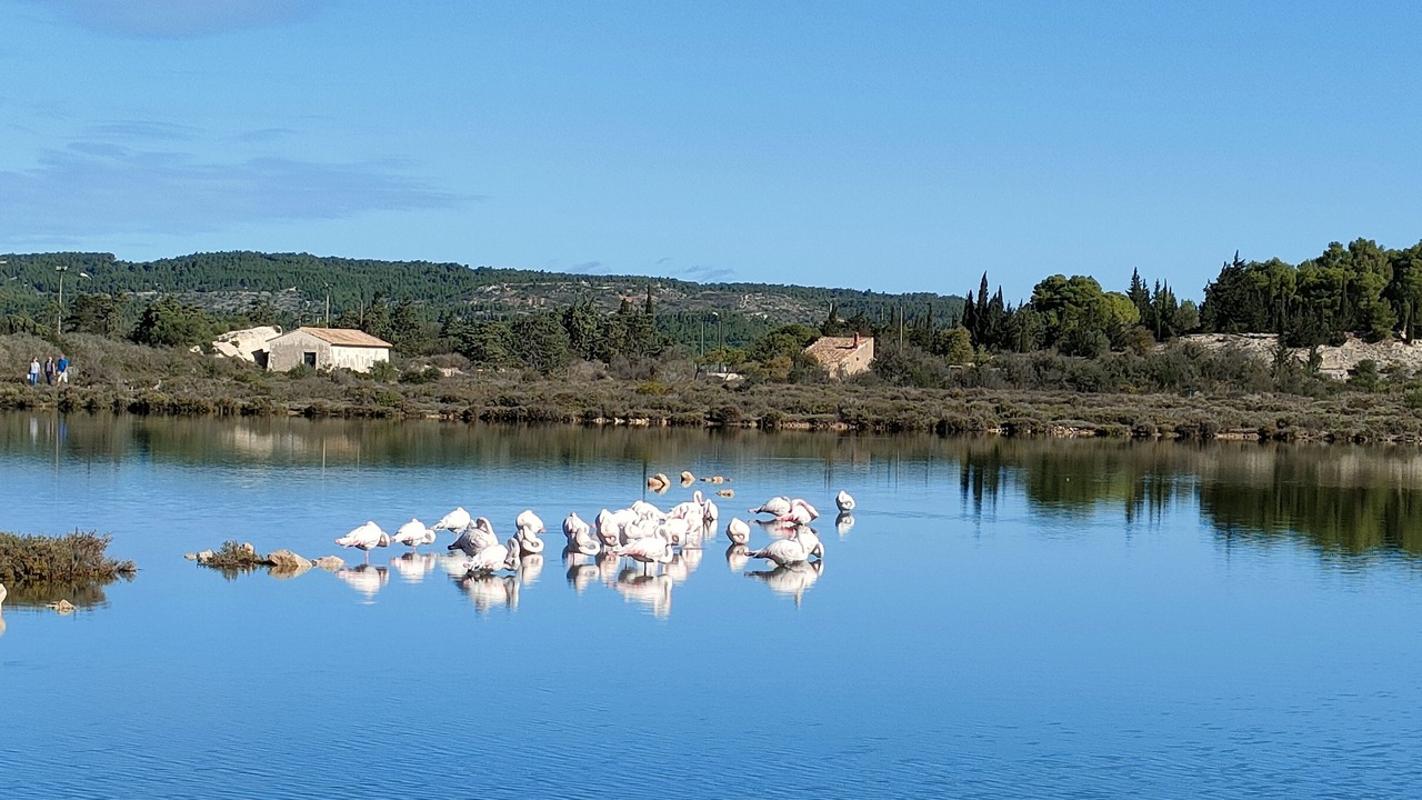 Photo of Others in Peyriac-de-Mer
