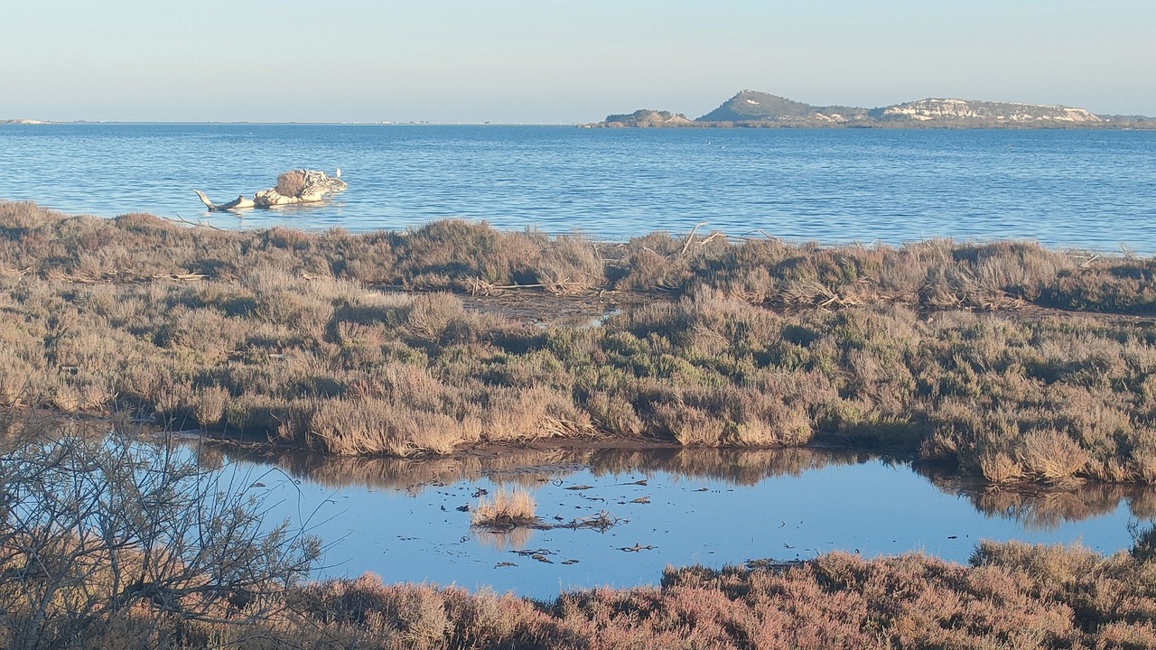 Photo of Others in Peyriac-de-Mer
