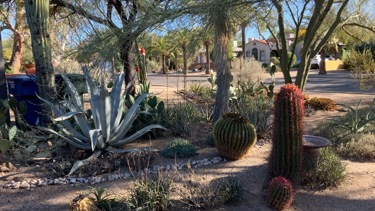 Photo of Outdoor in Sam Hughes