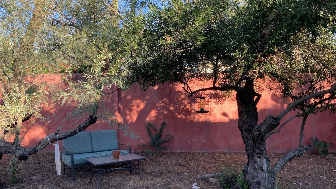 Photo of Outdoor in Sam Hughes