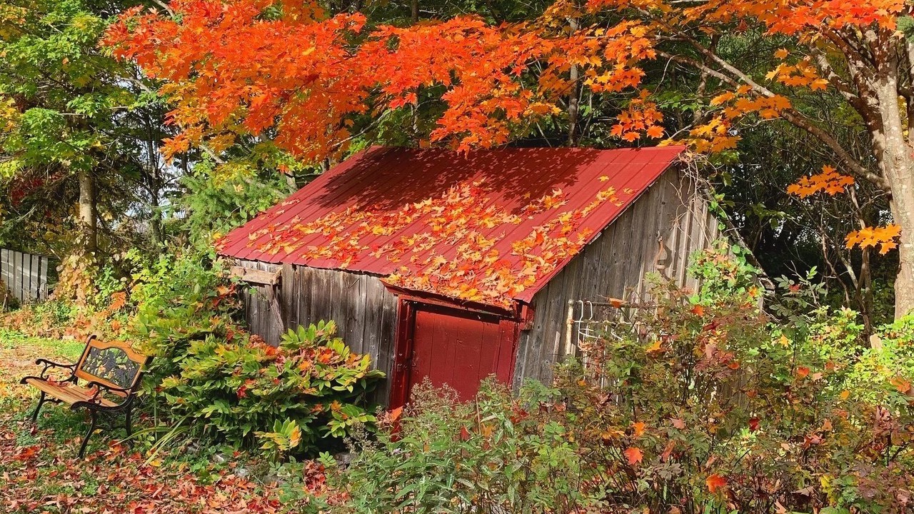 Photo of Outdoor in Saint-Jean-de-l'lle-d'Orleans