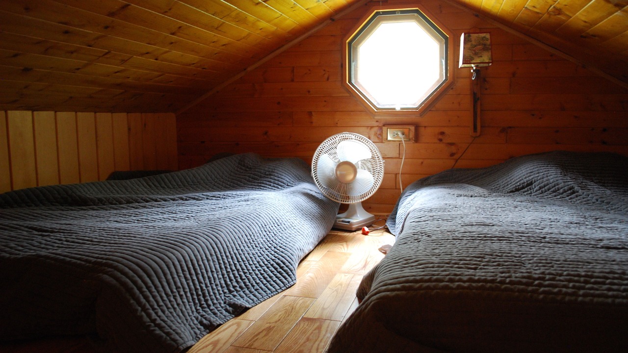 Photo of Others in Chazy