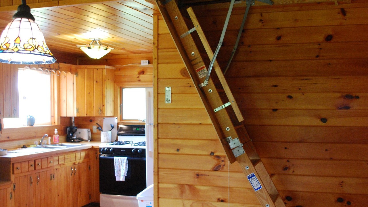 Photo of Others in Chazy