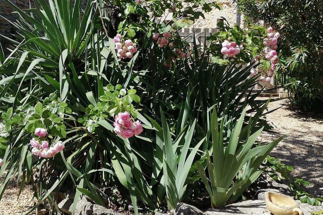 Photo of Outdoor in Labastide-de-Virac
