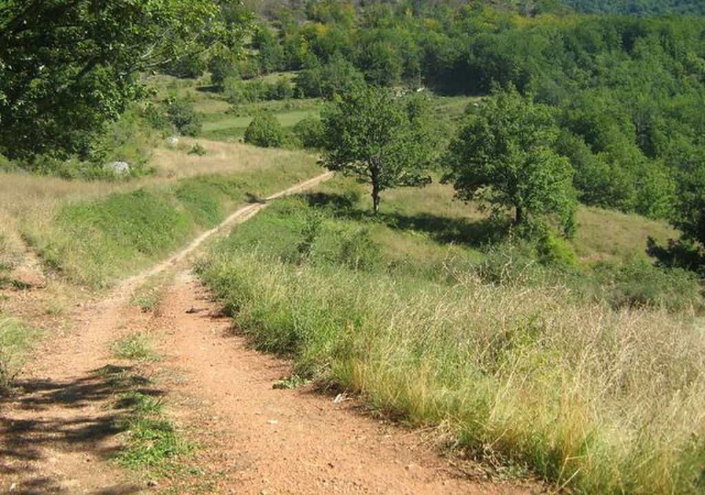 Photo of Others in Rousses