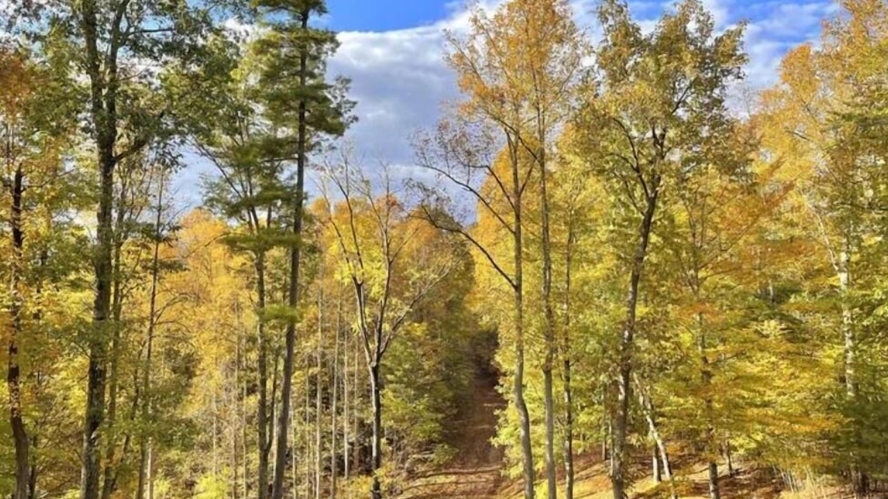 Photo of Others in Green Mountain