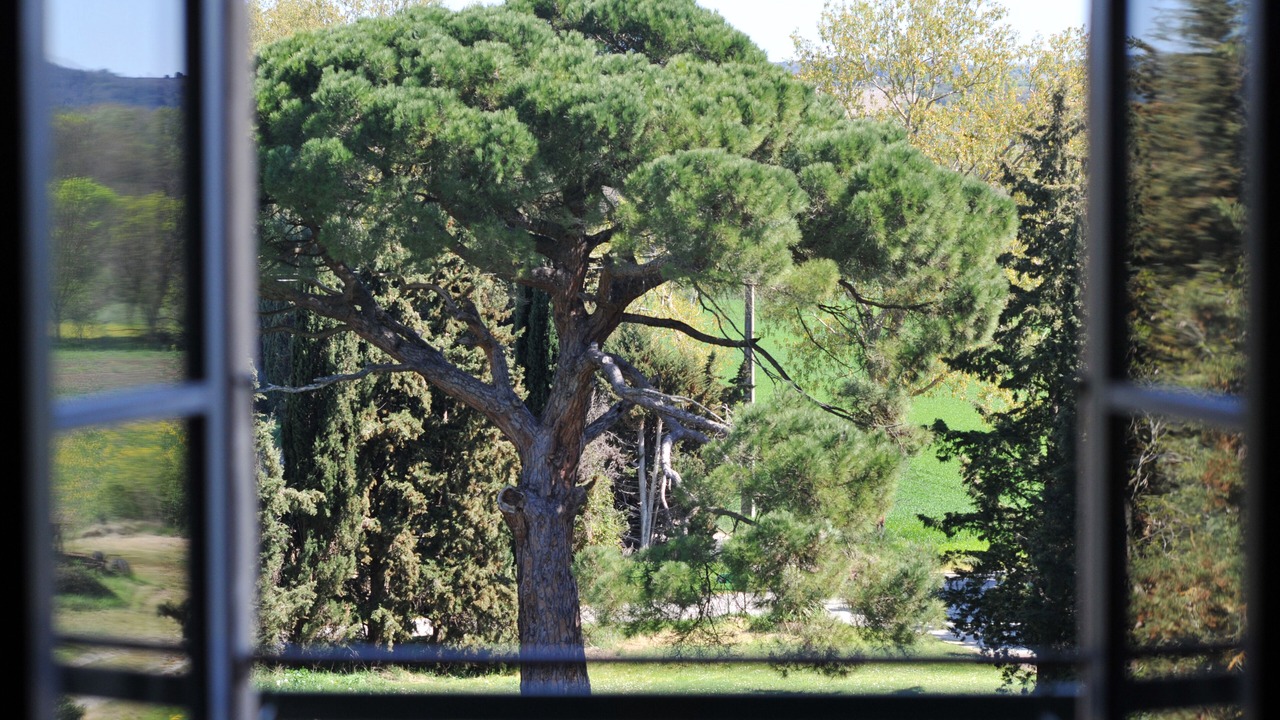 Photo of Others in Lauraguel