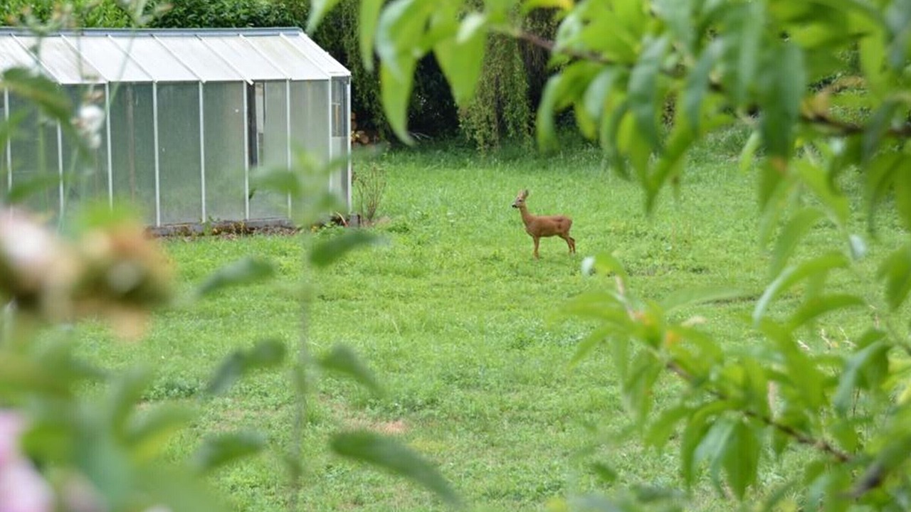 Photo of Outdoor in Chambourg-sur-Indre