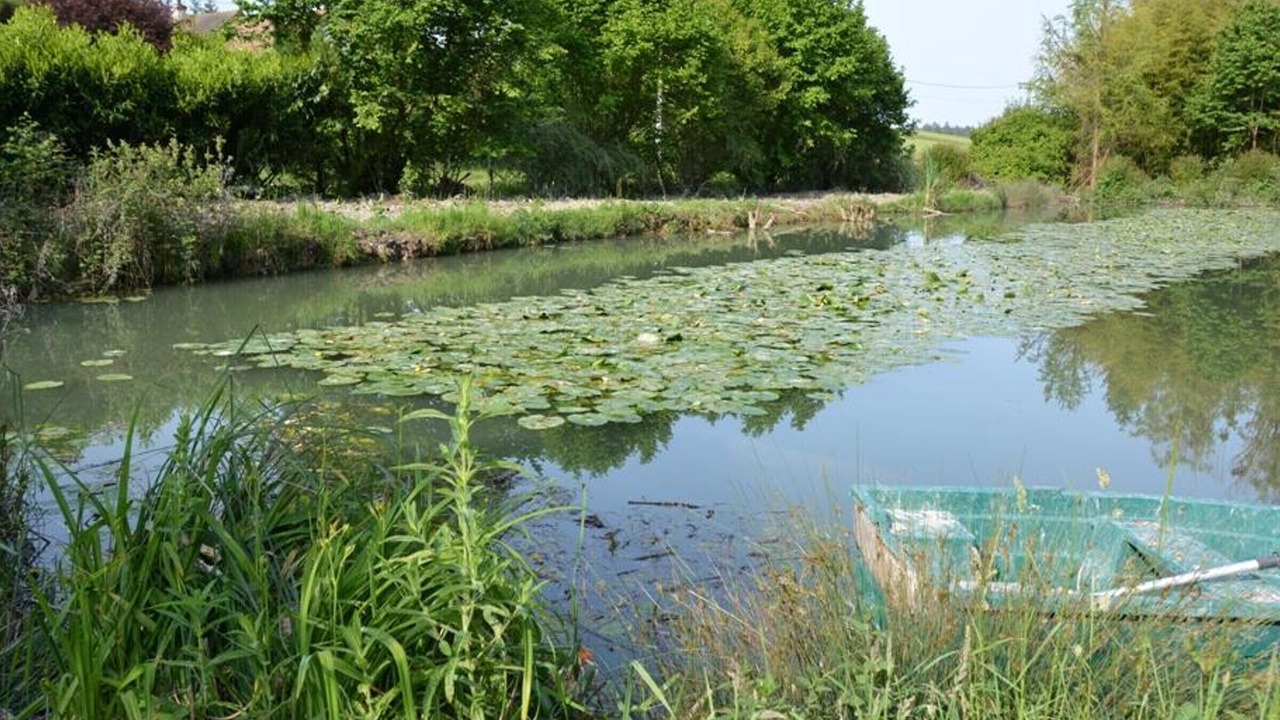 Photo of Outdoor in Chambourg-sur-Indre