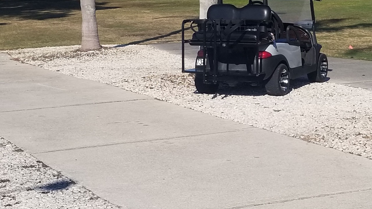 Photo of Outdoor in Winter Haven