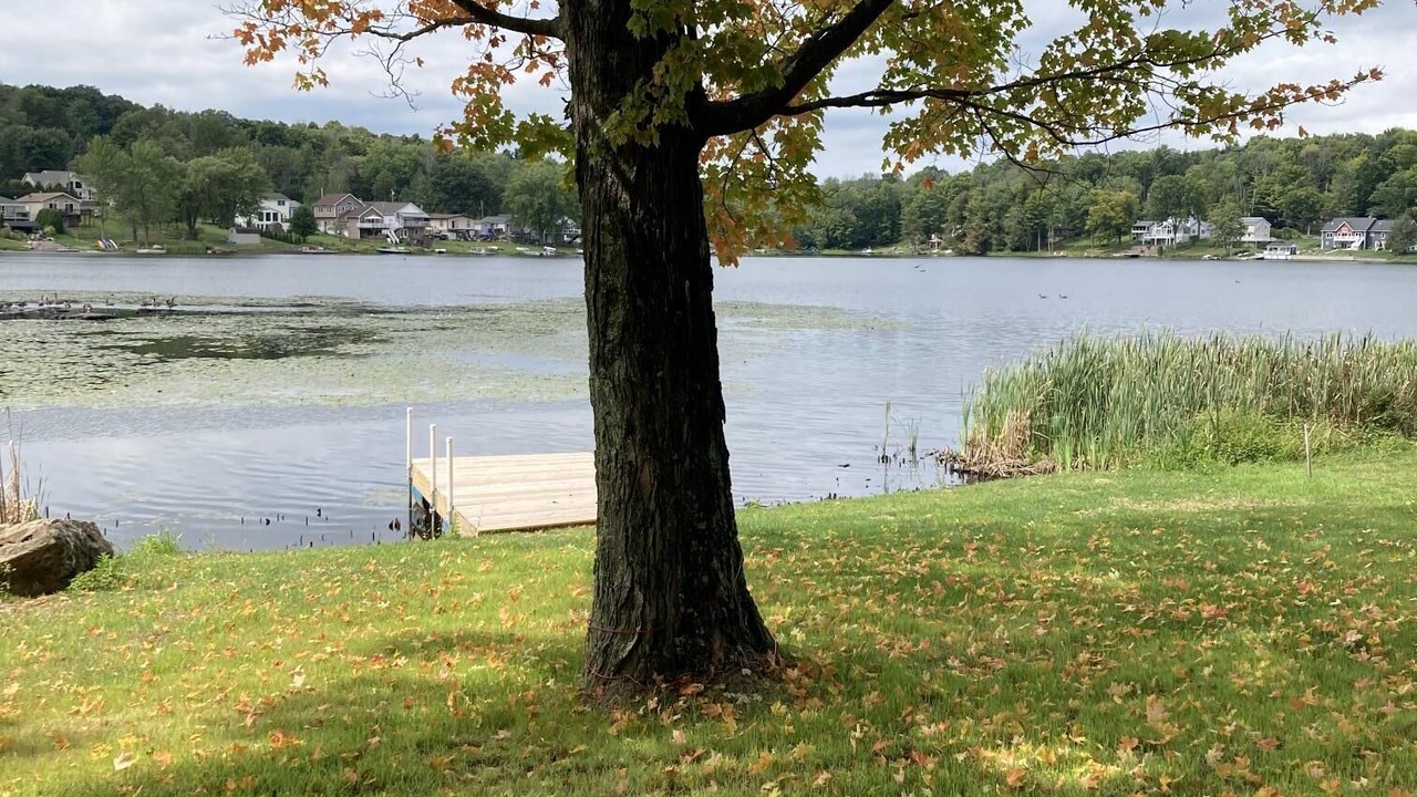 Photo of Others in Lake Ariel