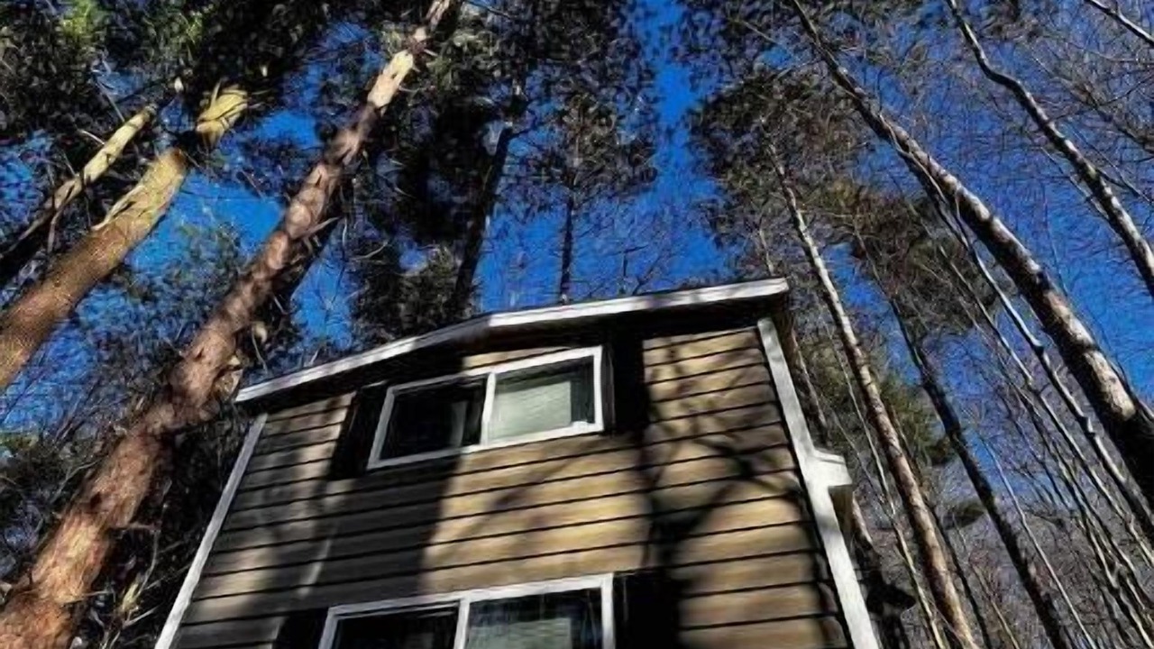 Photo of Outdoor in Westford