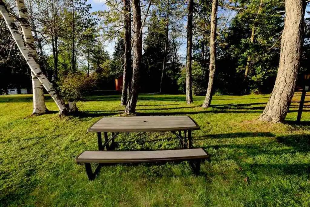 Photo of Outdoor in North Kawartha
