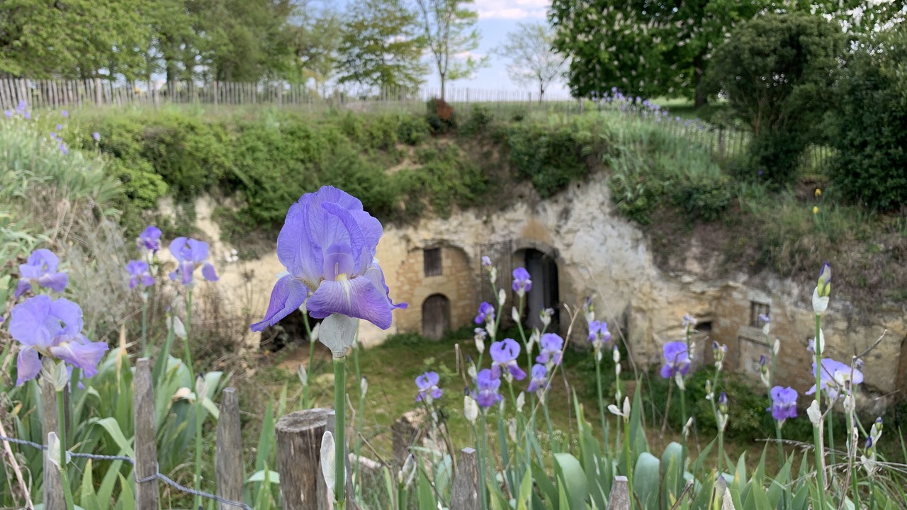Photo of Outdoor in Deneze-sous-Doue