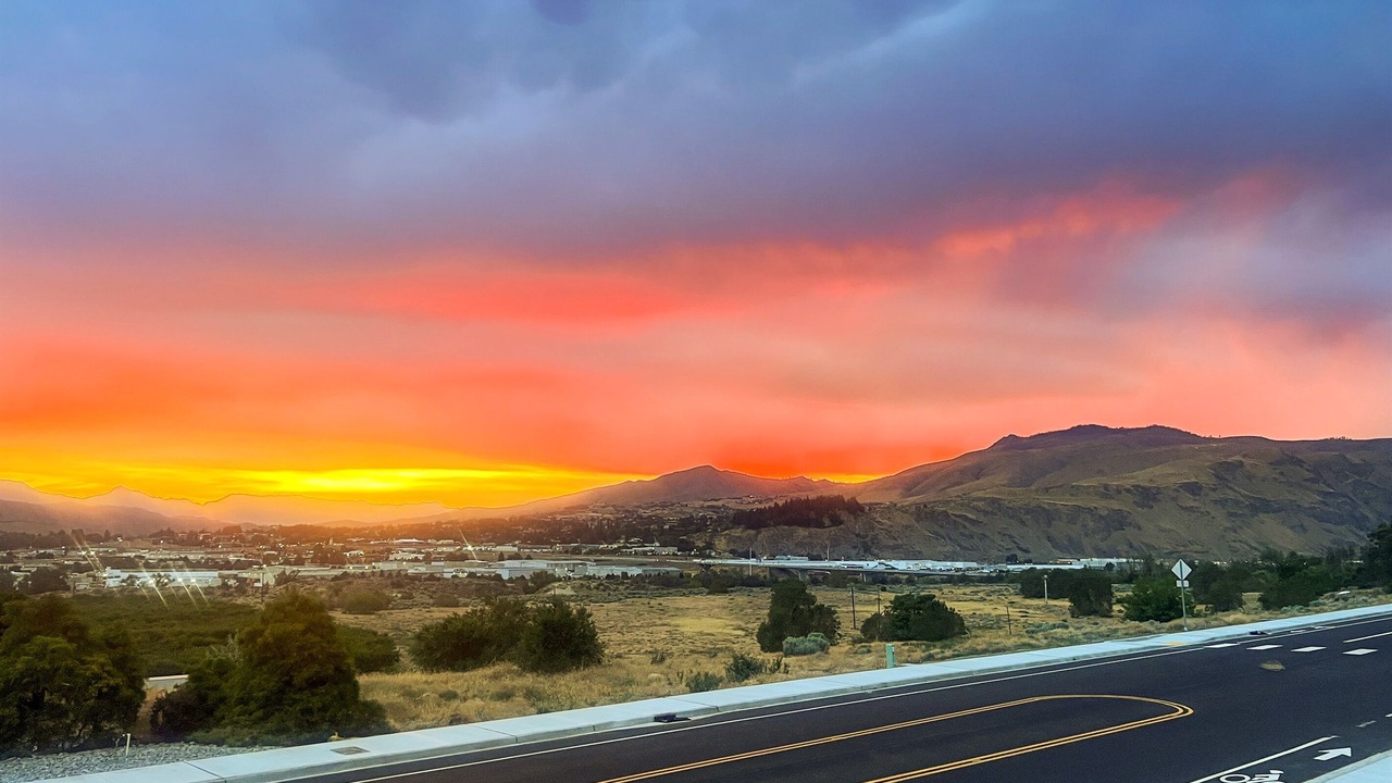 Photo of Others in Monitor