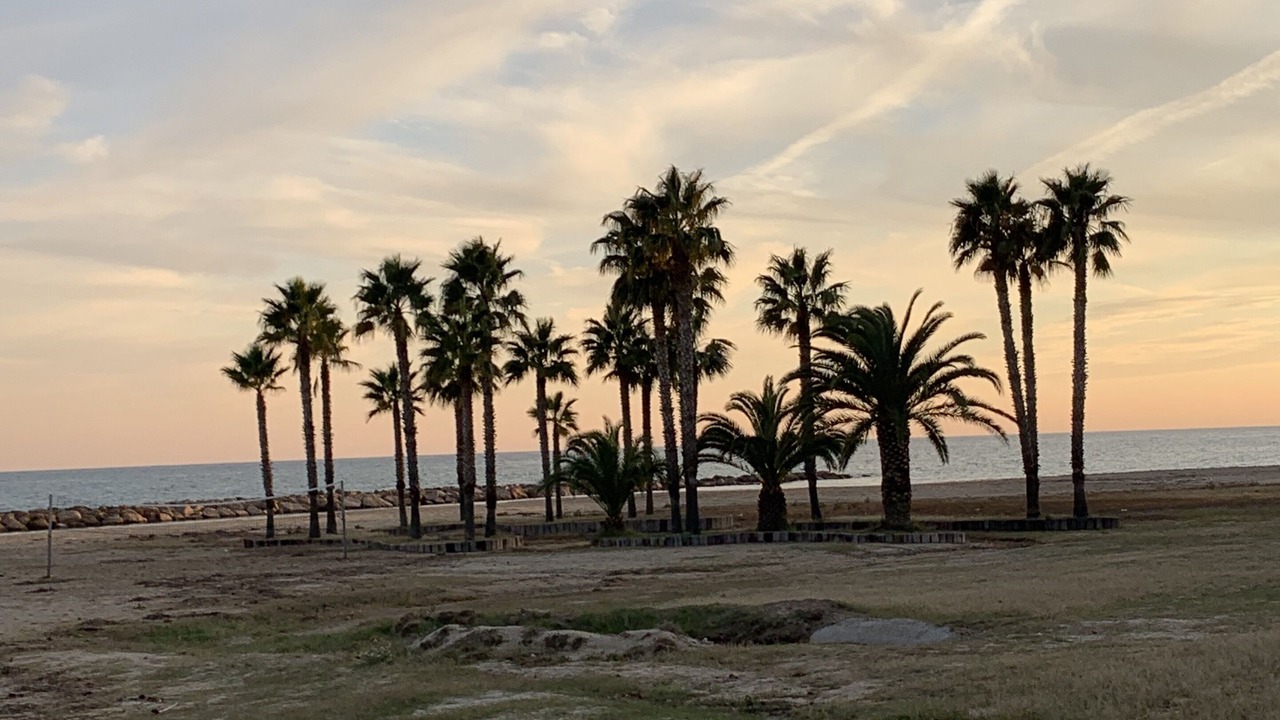 Photo of Others in Cambrils