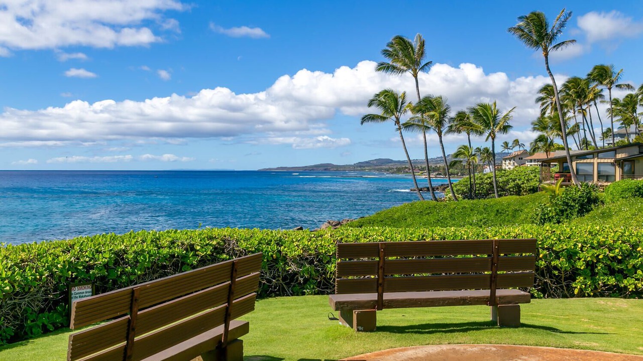 Photo of Others in Poipu