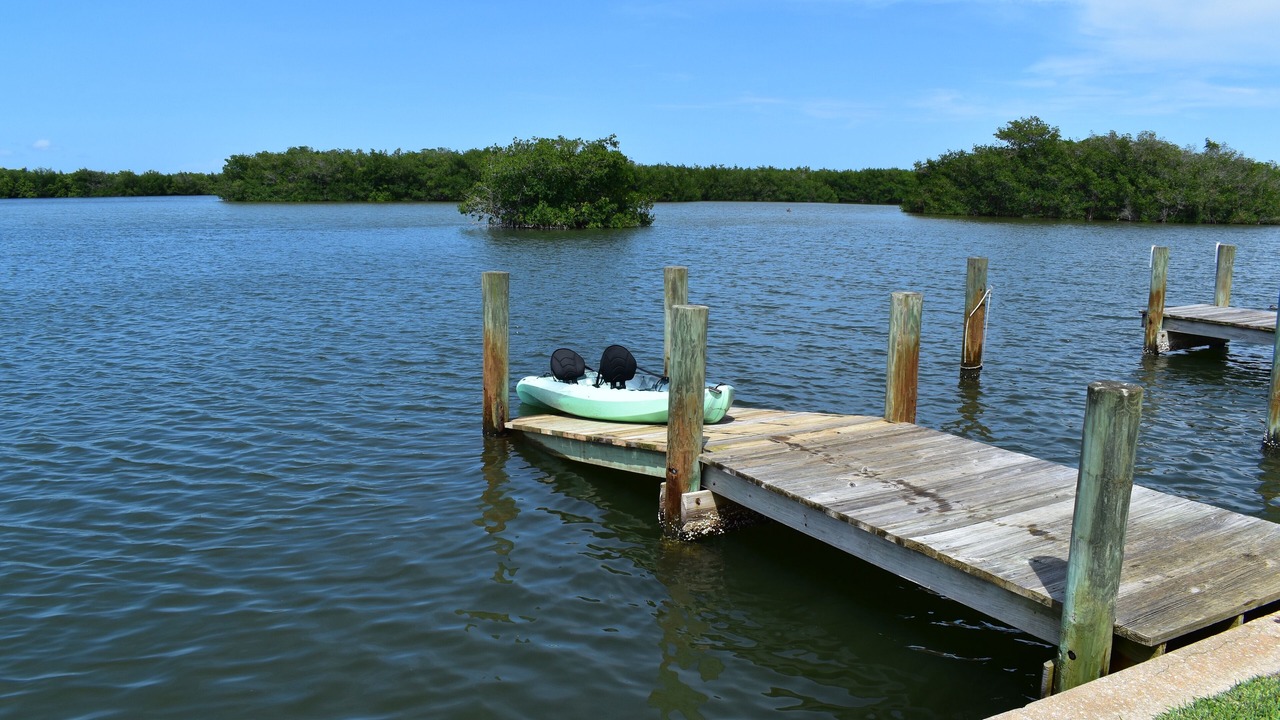 Photo of Others in Cocoa Beach