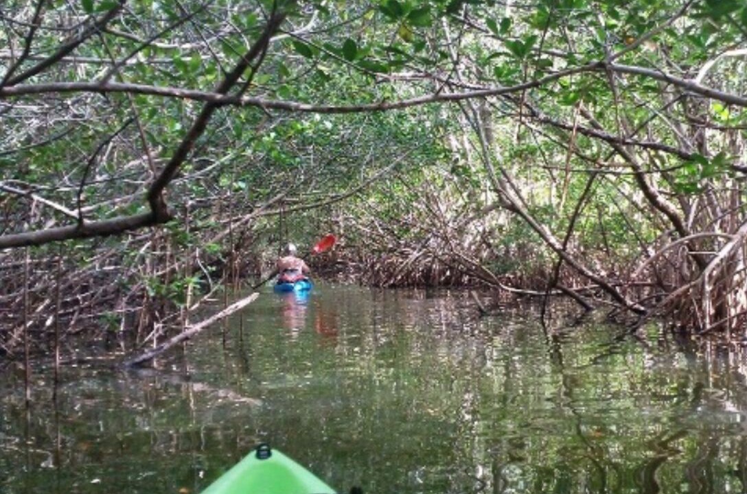 Photo of Others in Cocoa Beach