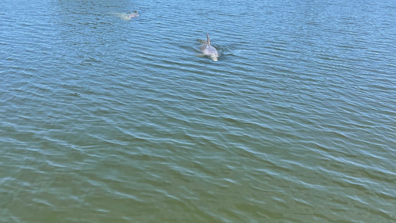 Photo of Outdoor in Cocoa Beach