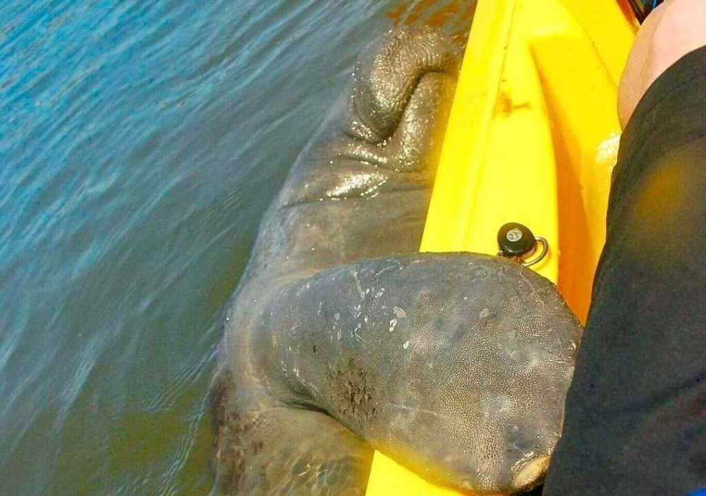 Photo of Others in Cocoa Beach