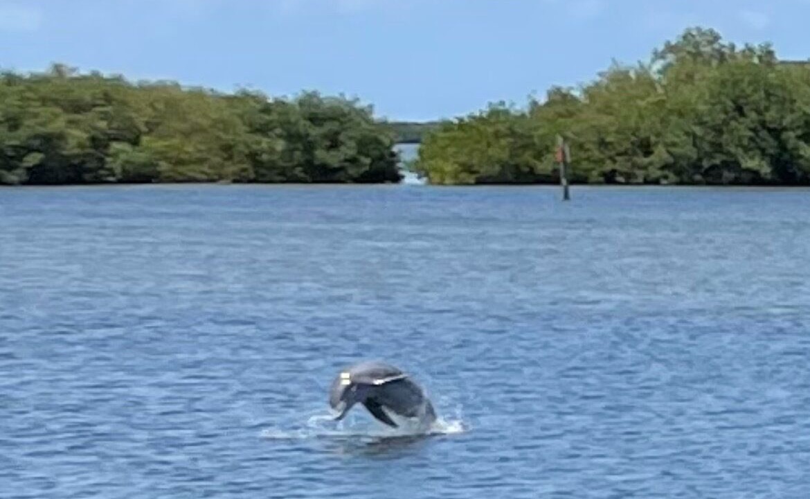 Photo of Others in Cocoa Beach