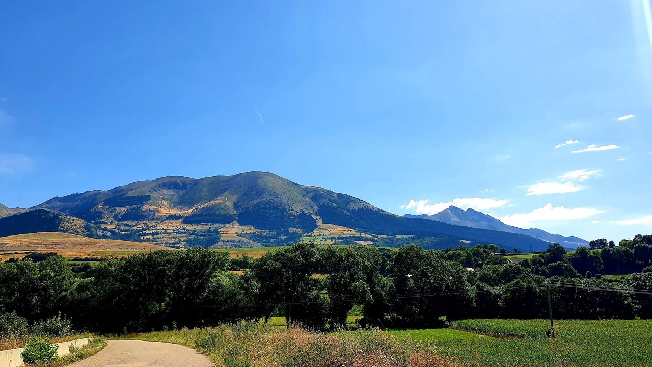 Photo of Others in Cholonge