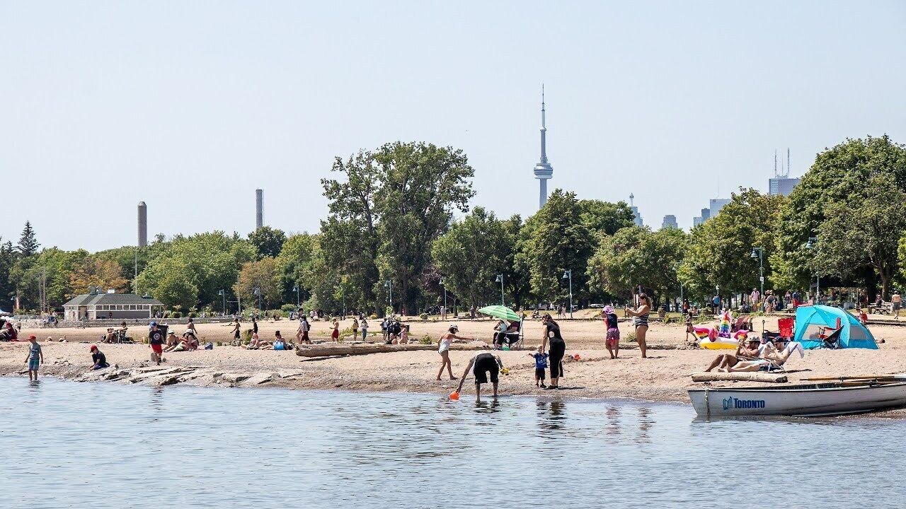 Photo of Others in Beach Hill