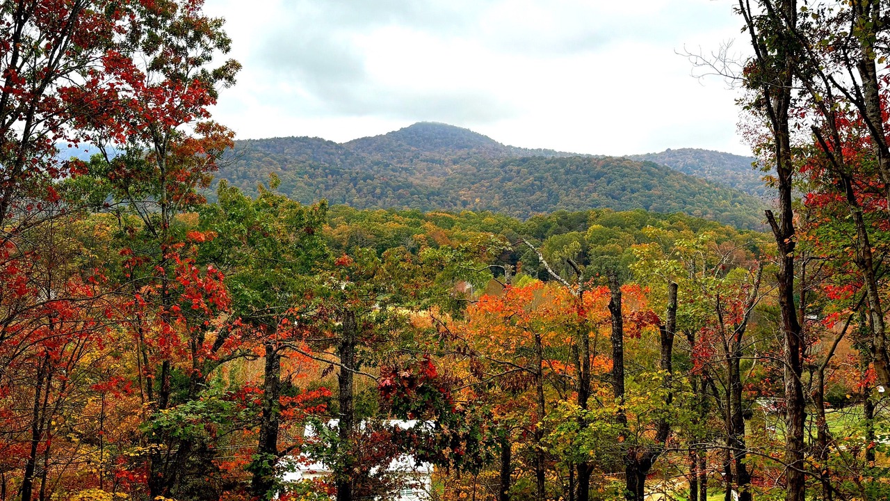 Photo of Others in Cleveland